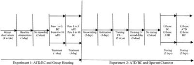 Effects of Acute Tryptophan Depletion on Repetitive Behavior in Laying Hens